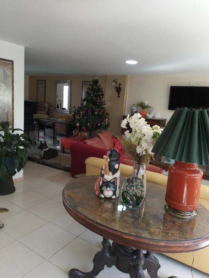 Charming Sunny Bedroom Overlooking Beautiful Amsterdam Avenue In Best Condesa Area México DF Exterior foto