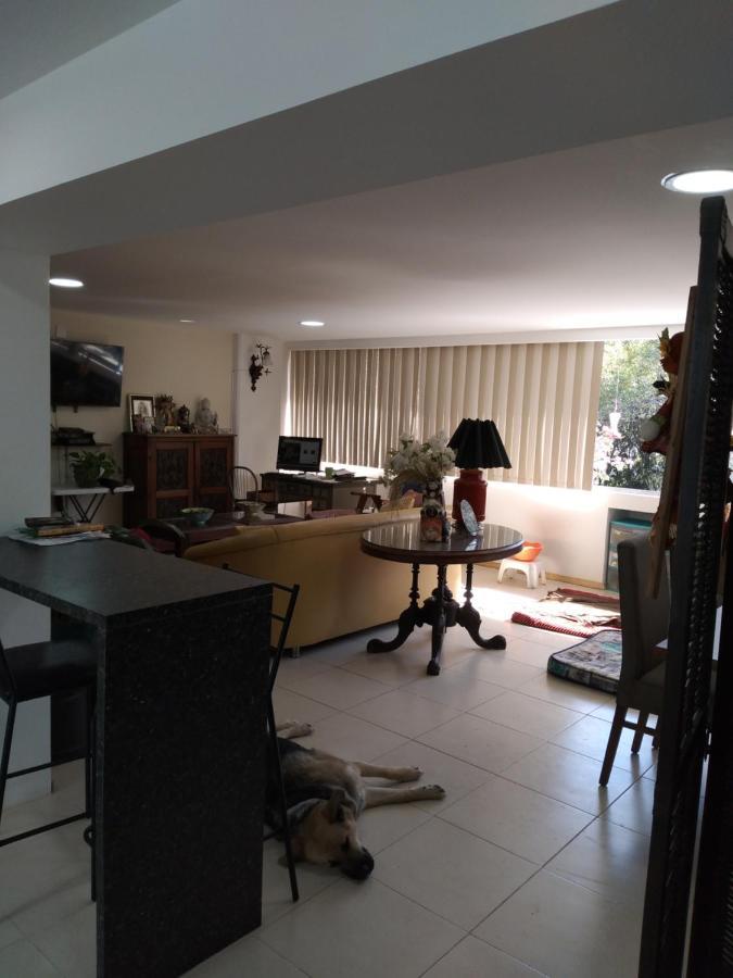 Charming Sunny Bedroom Overlooking Beautiful Amsterdam Avenue In Best Condesa Area México DF Exterior foto