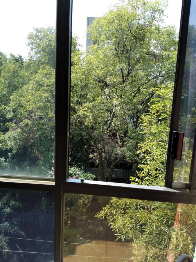 Charming Sunny Bedroom Overlooking Beautiful Amsterdam Avenue In Best Condesa Area México DF Exterior foto