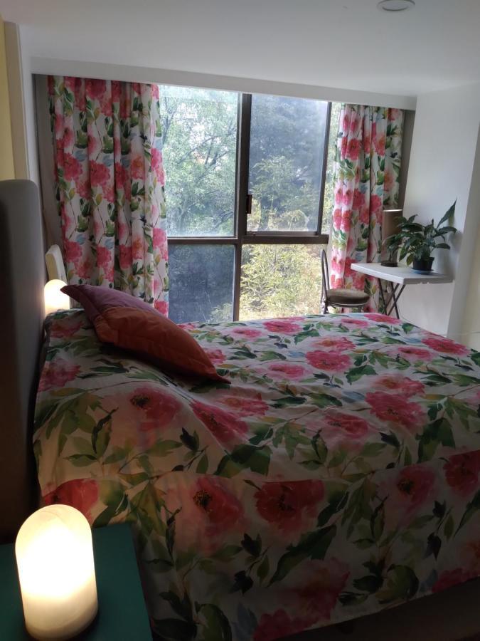 Charming Sunny Bedroom Overlooking Beautiful Amsterdam Avenue In Best Condesa Area México DF Exterior foto
