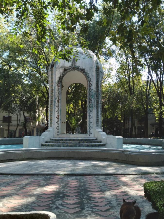 Charming Sunny Bedroom Overlooking Beautiful Amsterdam Avenue In Best Condesa Area México DF Exterior foto